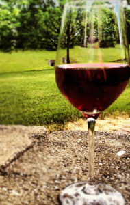 winery wine garden